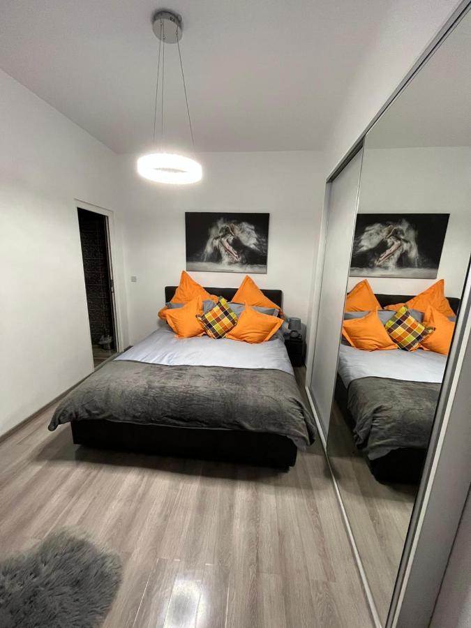 Central Studio Braşov Dış mekan fotoğraf