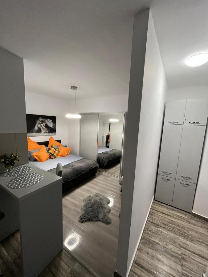 Central Studio Braşov Dış mekan fotoğraf
